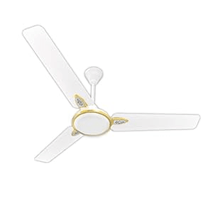 Crompton Rubio with 2 Year Warranty 1200 mm Ceiling Fan  (WHITE GOLD | Pack of 1)