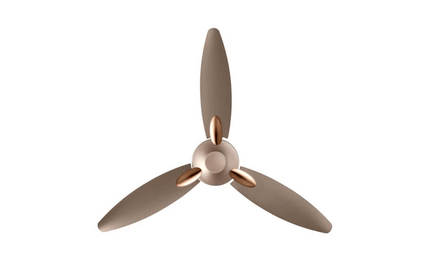 USHA Bloom Daffodil with 2 Year Warranty Anti Dust 1250 mm Ceiling Fan  (Sparkle Golden and Brown | Pack of 1)